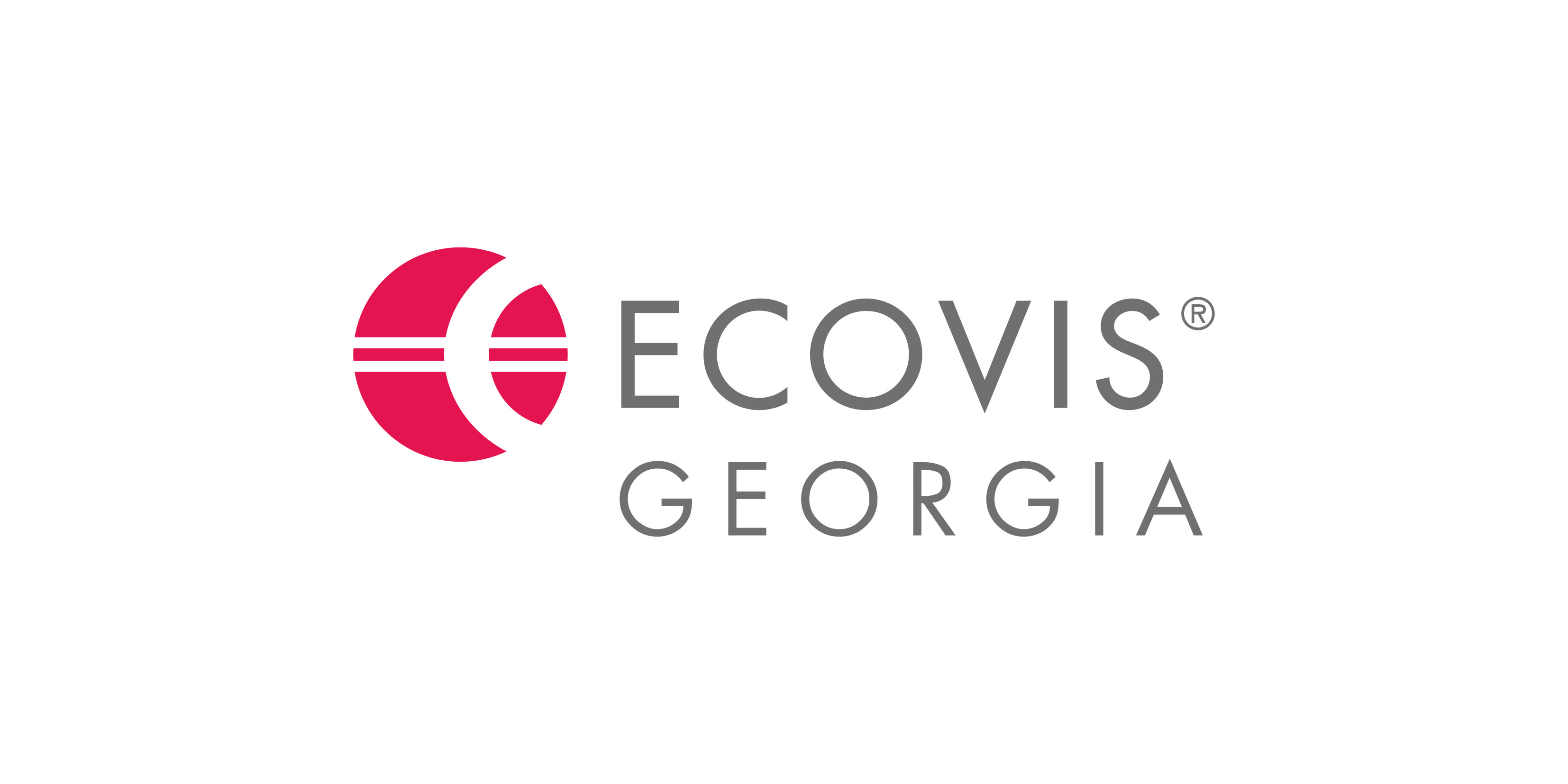 Ecovis Georgia